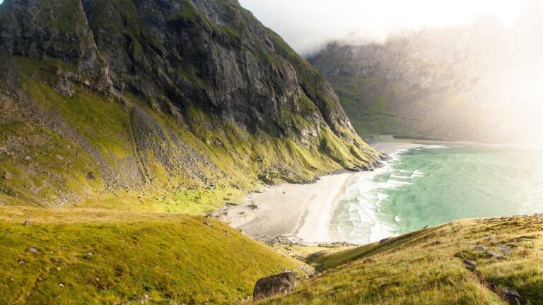 How To Watch Today?S Live Match On Cricbet99 Vip?